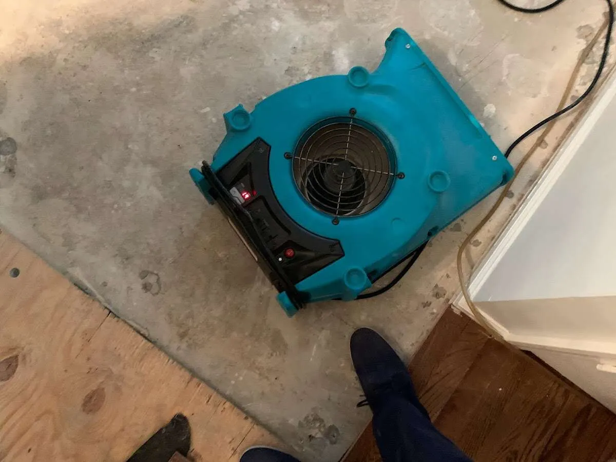 Air mover drying subfloor during Commercial Water Damage Restoration in Courtland